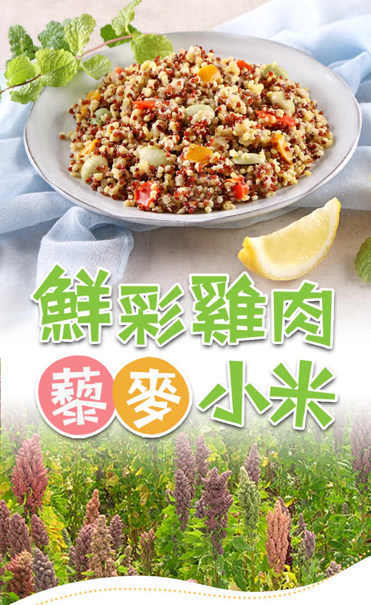 鮮彩雞肉 藜麥小米 