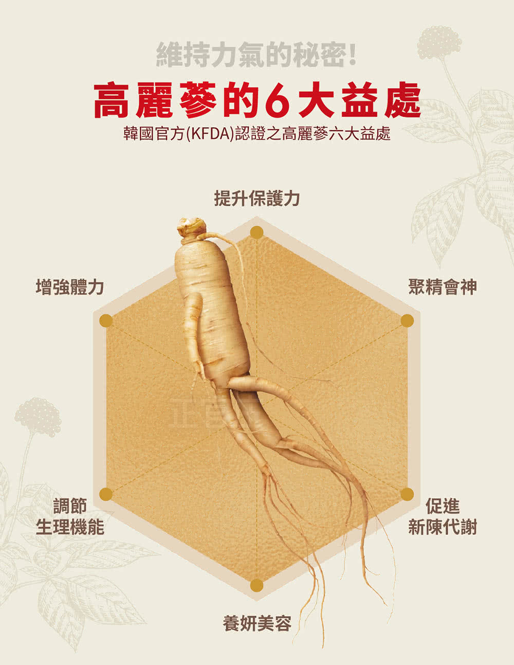 韓國官方KFDA認證之高麗蔘六大益處