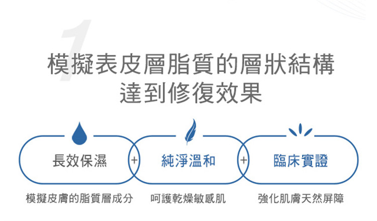 模擬表皮層脂質的層狀結構