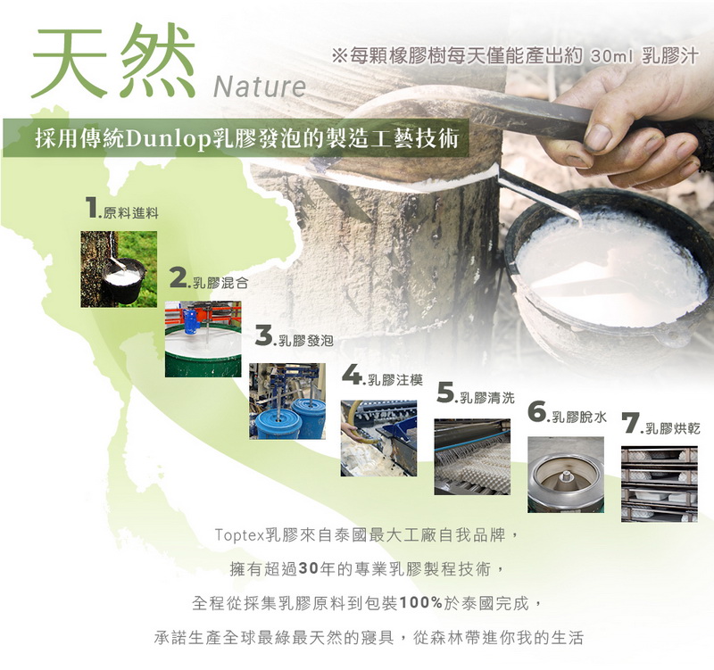 承諾生產全球最綠最天然的寢具 ,從森林帶進你我的生活
