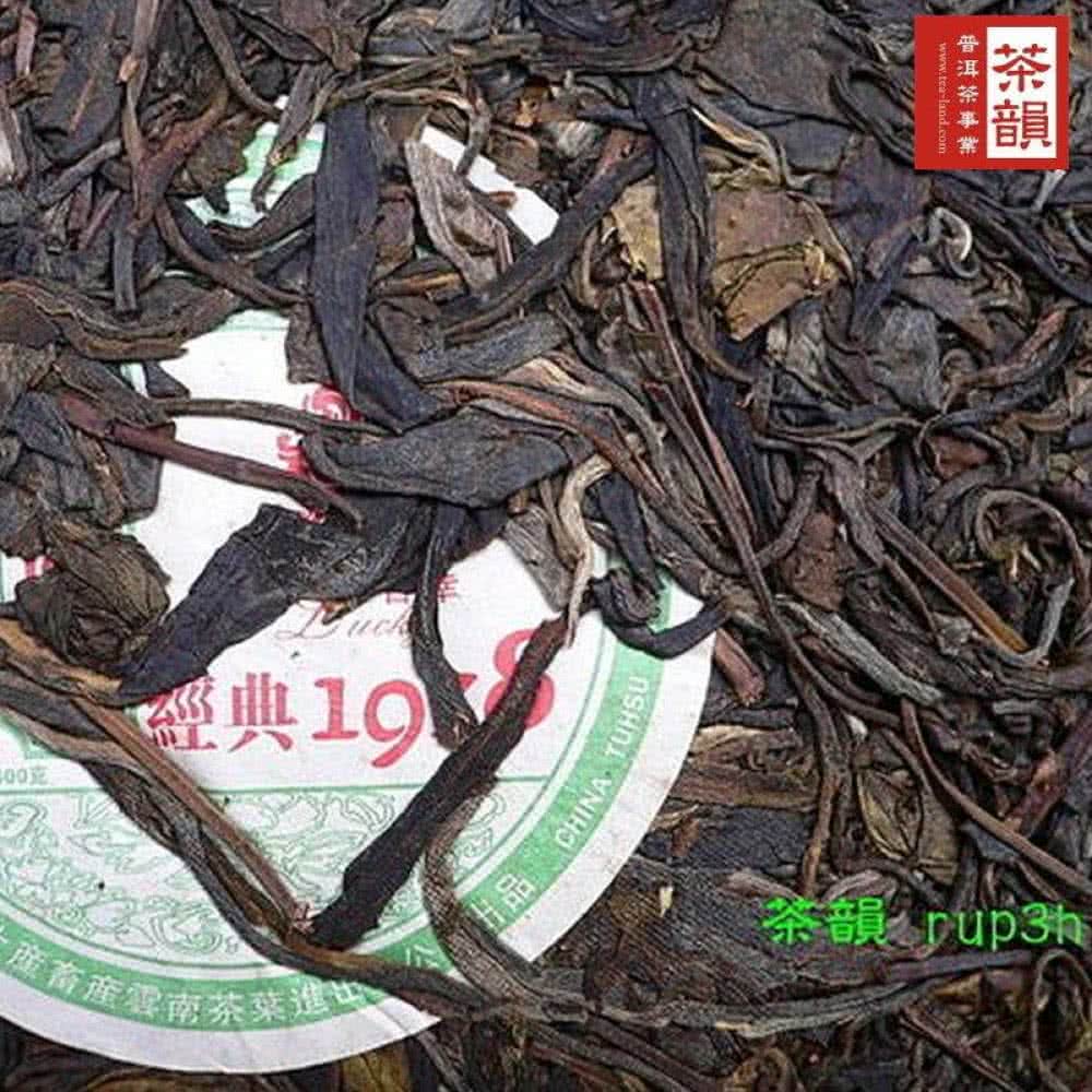 经典10 遊畜産雲南芥菜 普洱茶事業 茶韻 茶韻 rup3h 