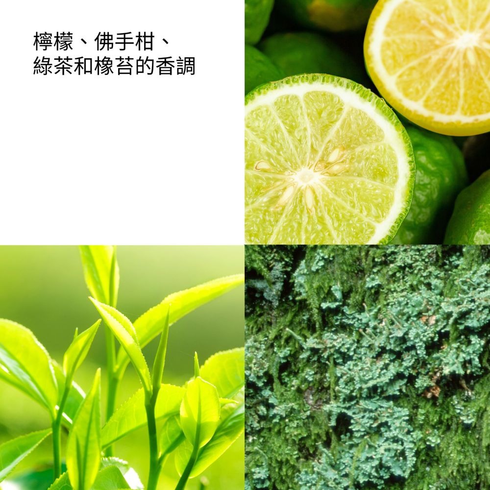 檸檬、佛手柑、 綠茶和橡苔的香調 