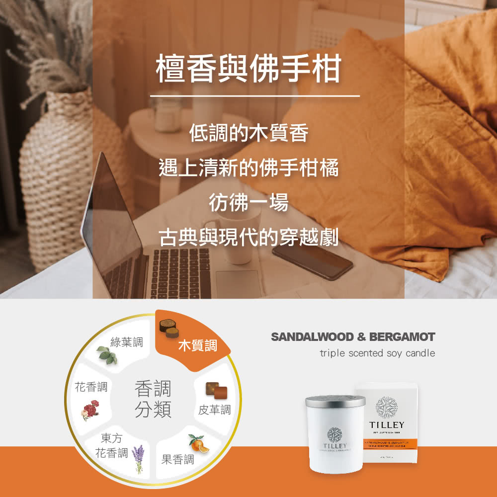 Pet Winnelin T新的格