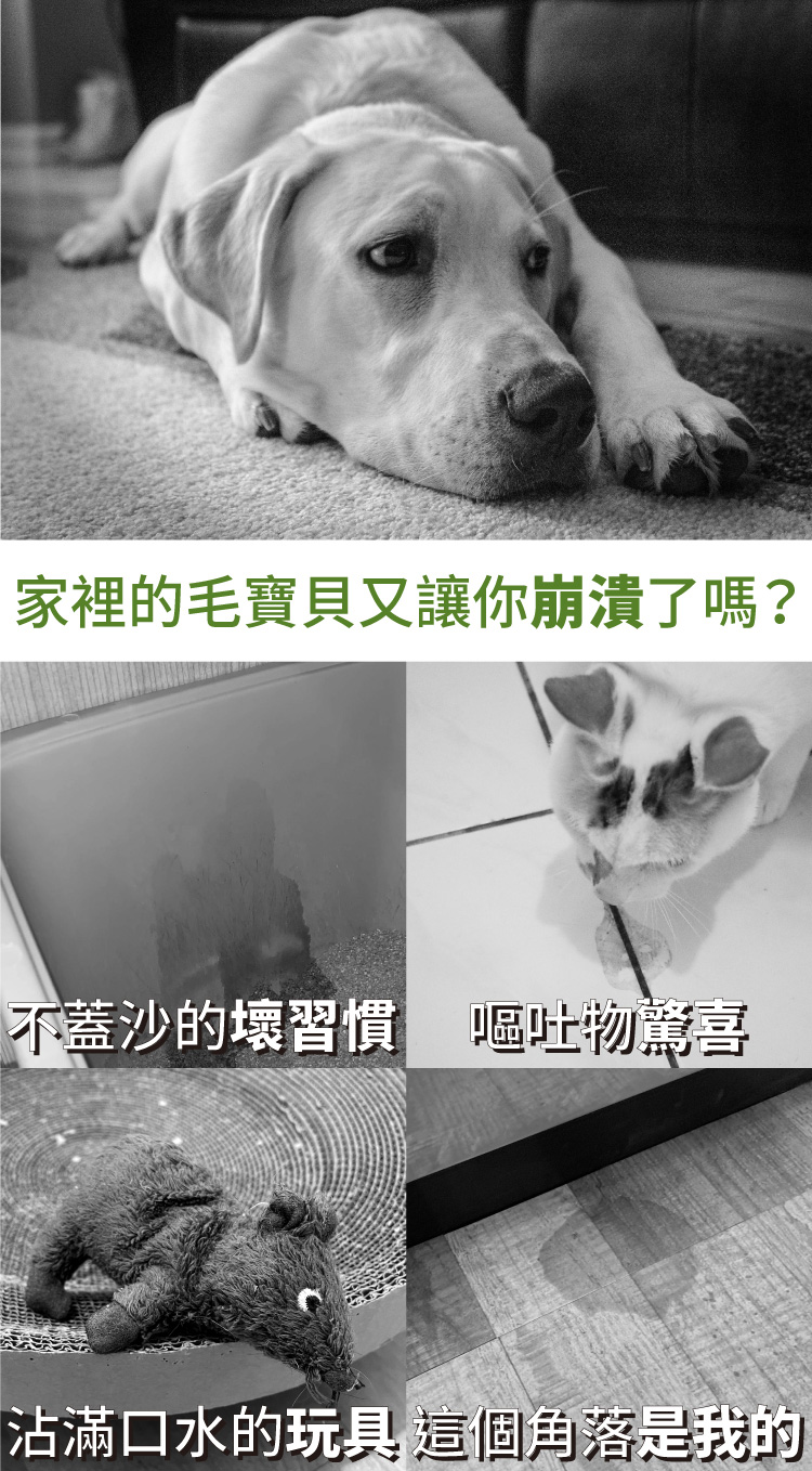 Apply Guard】應用佳寵物消臭抑菌噴霧-250ml(福利品)-momo購物網