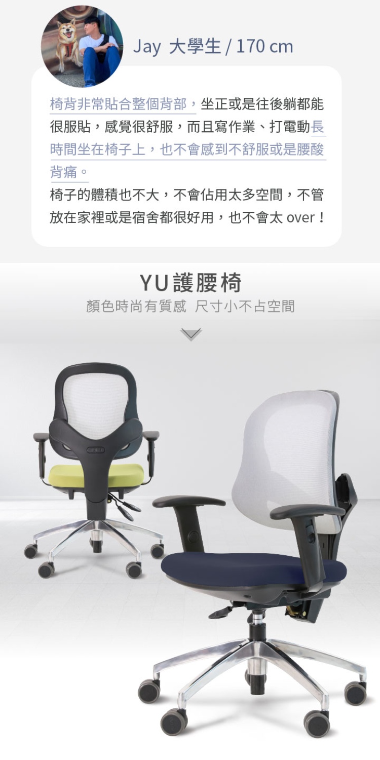 Artso 亞梭 Yu護腰椅 人體工學椅 辦公椅 電腦椅 網椅 Momo購物網