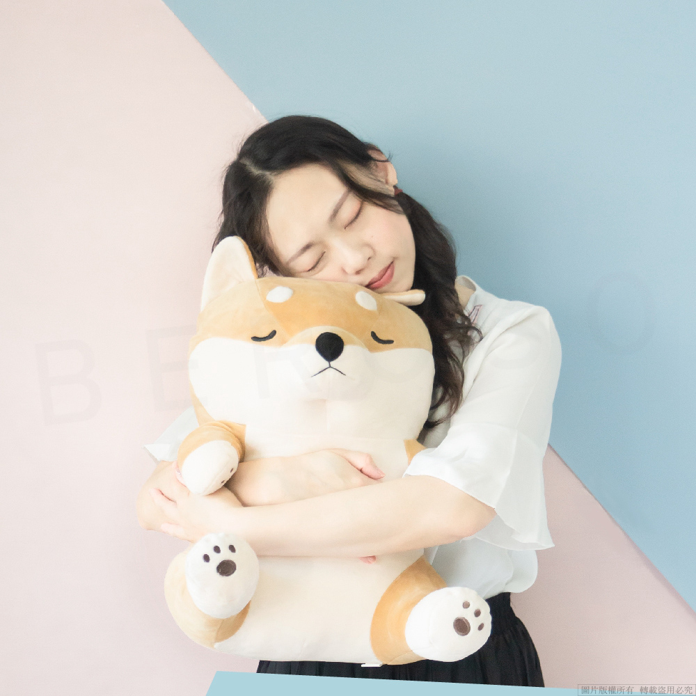 圖片版權所有轉載盜用必究 