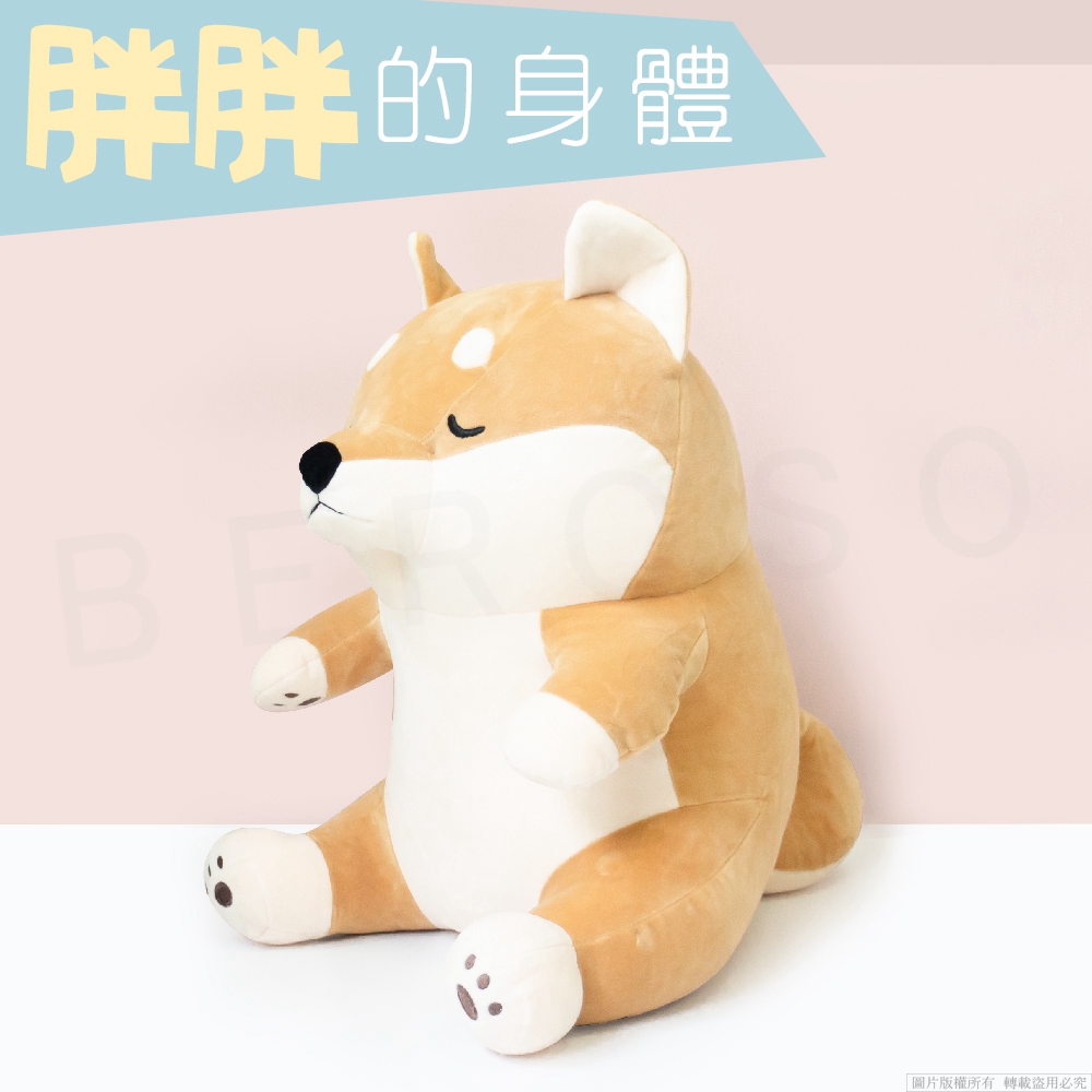 胖胖的身體 圖片版權所有轉載盜用必究 