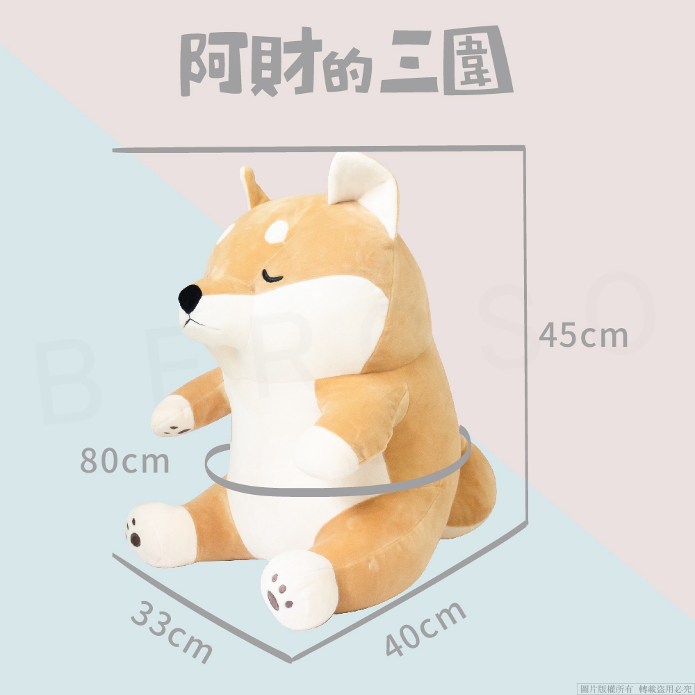 阿財的三国 圖片版權所有轉載盜用必究 