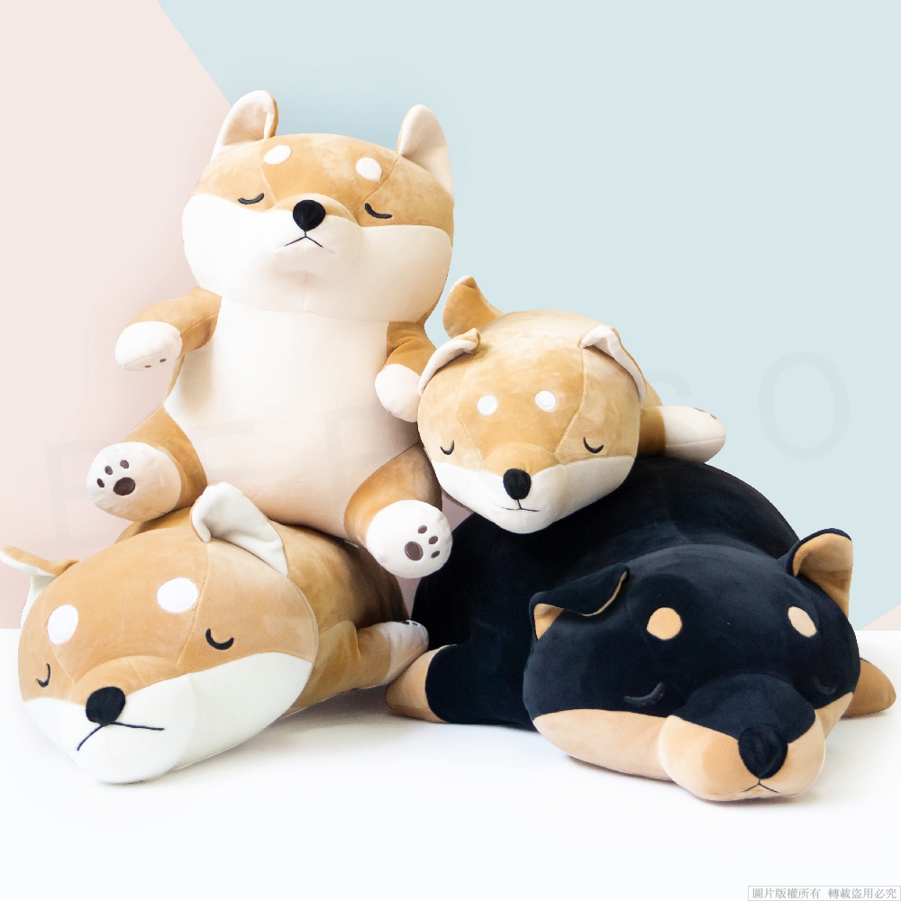 圖片版權所有轉載盜用必究 