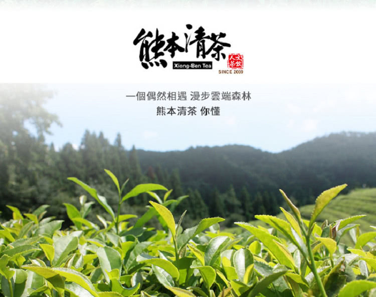 一個偶然相遇 漫步雲端森林 熊本清茶你懂 