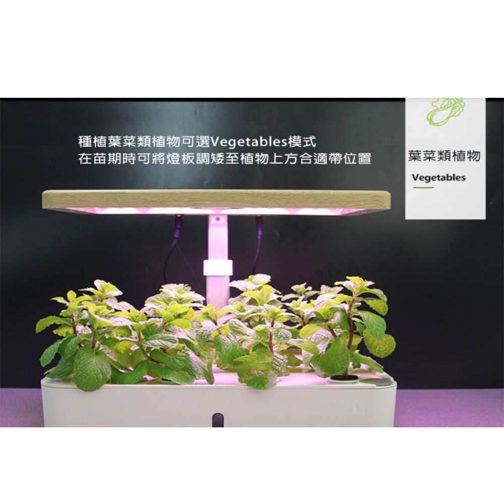 家庭智能led水耕植物無土栽培自動化栽培機 12珠 Momo購物網