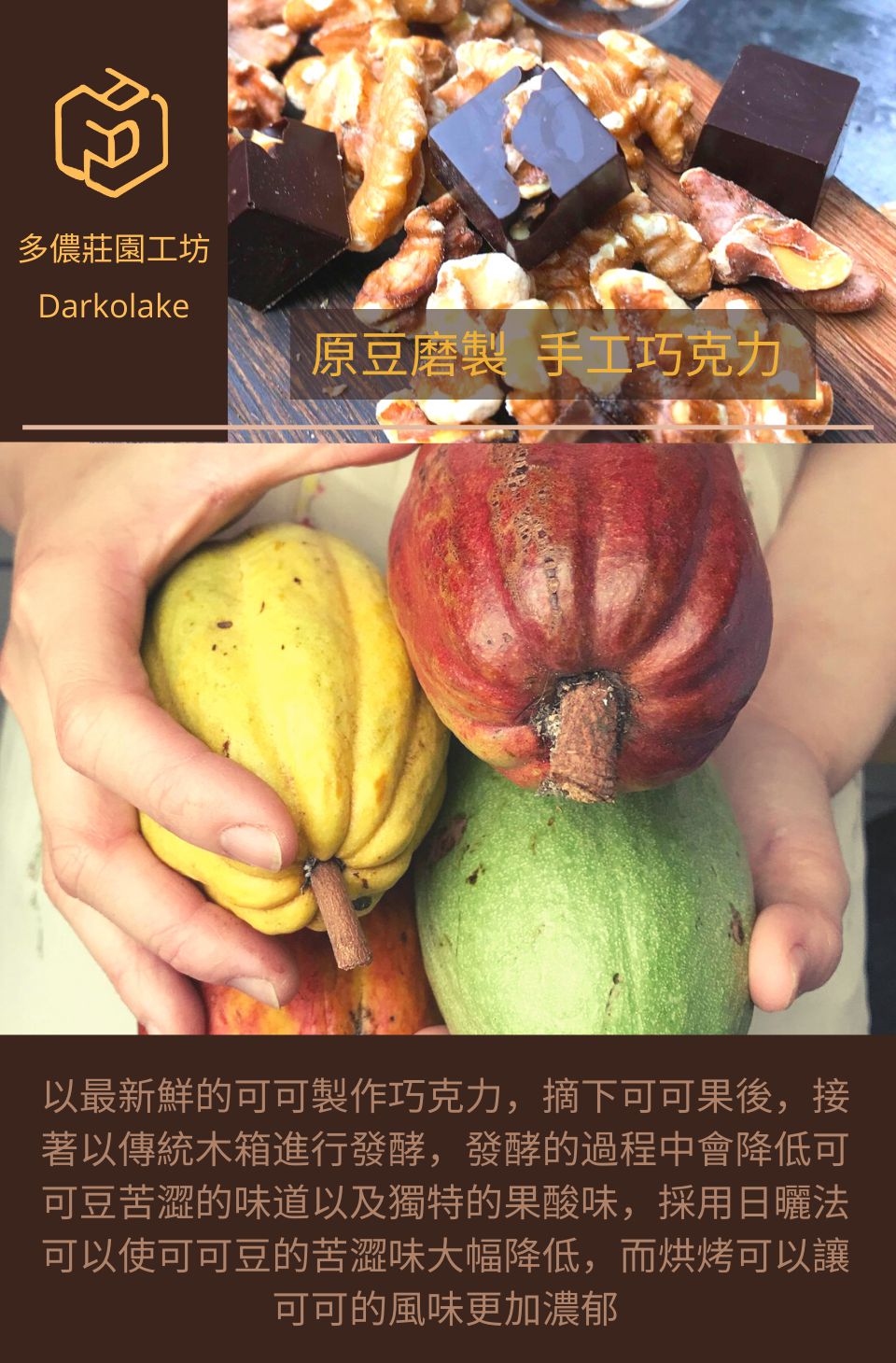 以最新鮮的可可製作巧克力,摘下可可果後,接