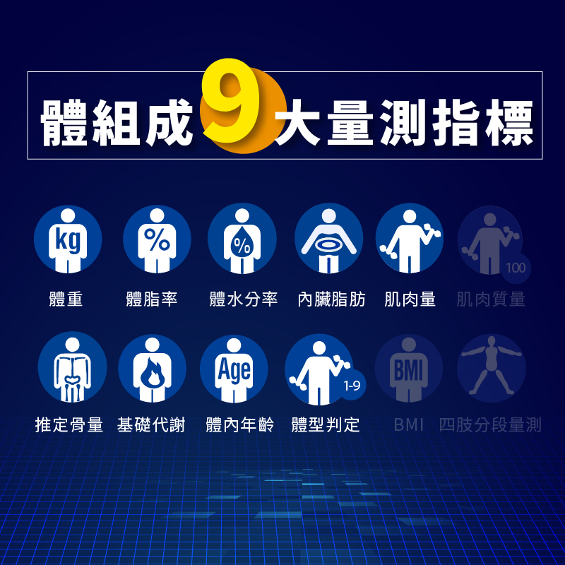 體水分率 內臟脂肪 肌肉量 肌肉質量