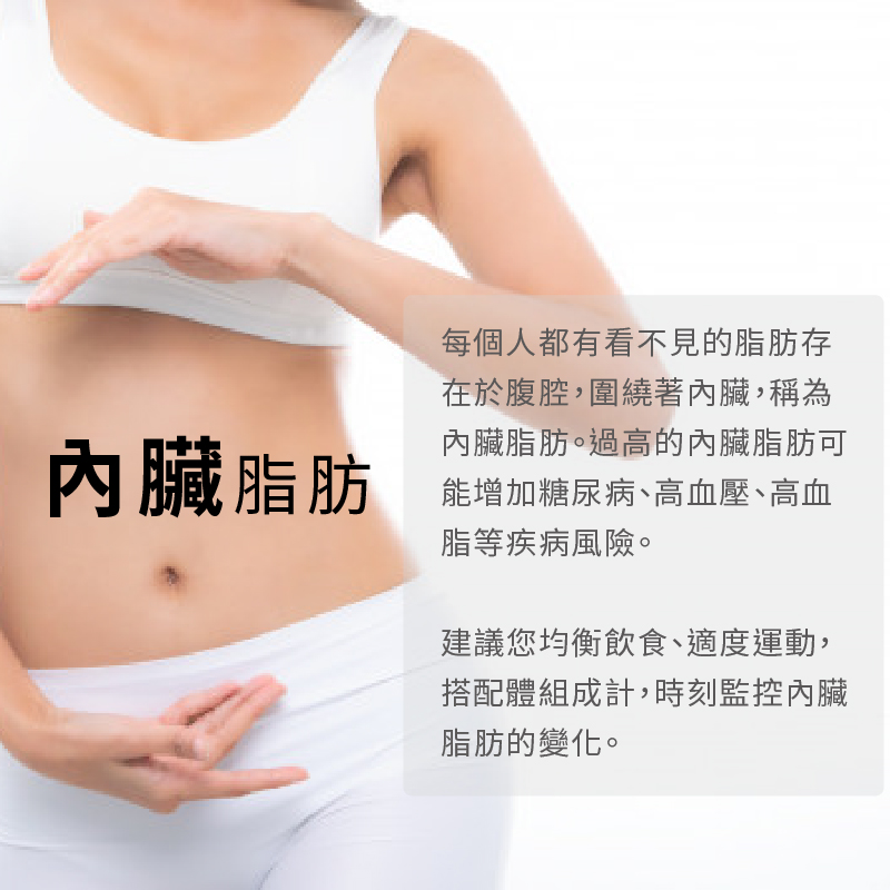 在於腹腔,圍繞著內臟,稱為