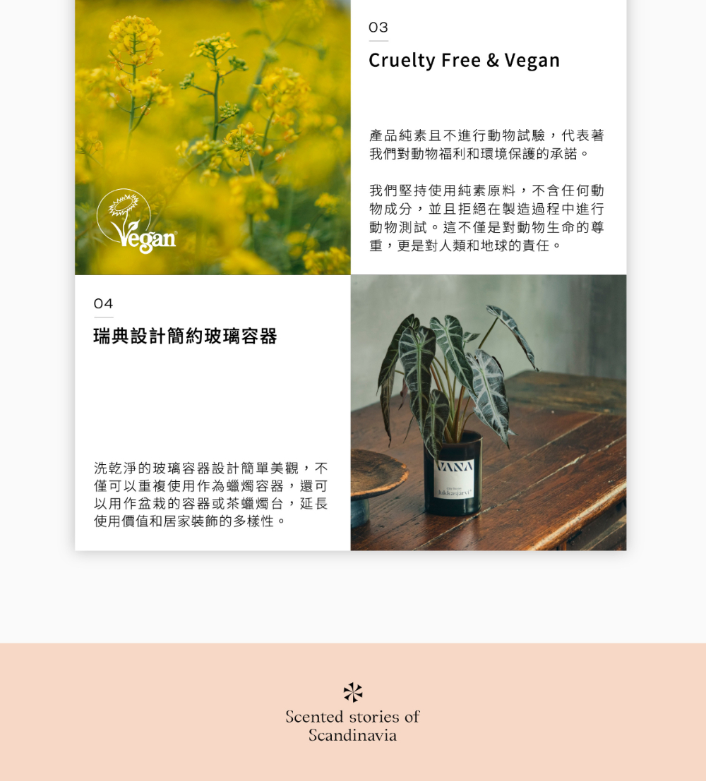 æ´ä¹¾æ·¨çç»çå®¹å¨è¨­è¨ç°¡å®ç¾è§,ä¸