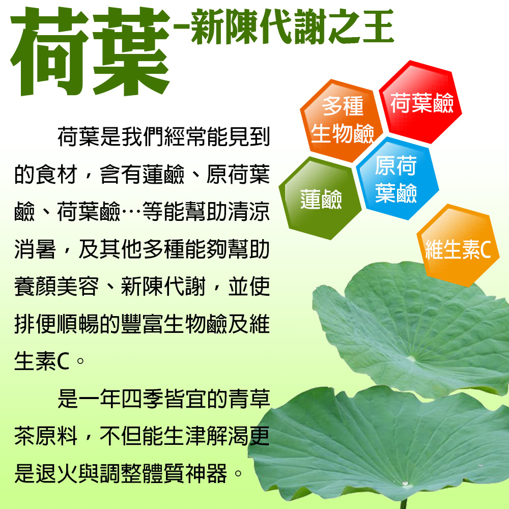 的食材,含有蓮鹼、原荷葉