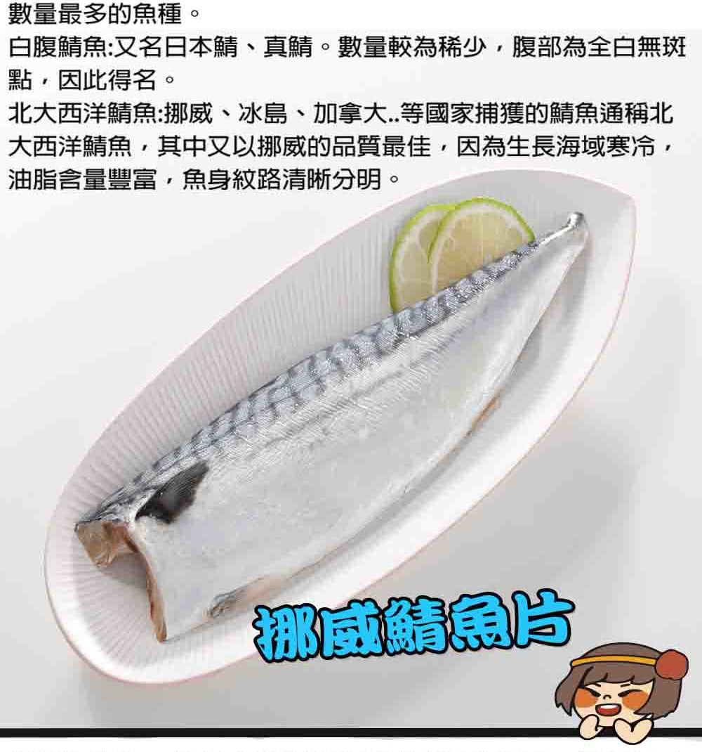 北大西洋鯖魚挪那威、冰島、加拿大..等國家捕獲的鯖魚通稱北