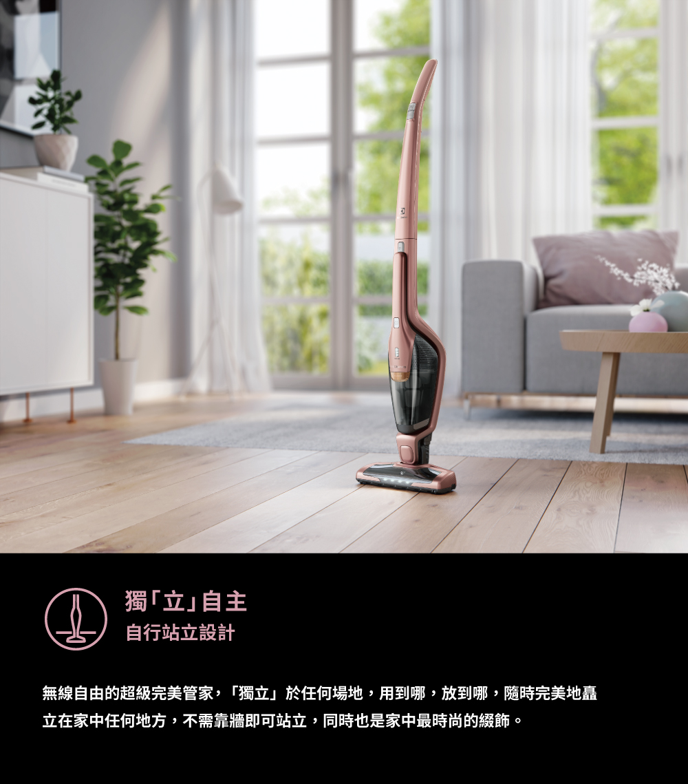 Electrolux伊萊克斯 ZB3314AK - 詳情9