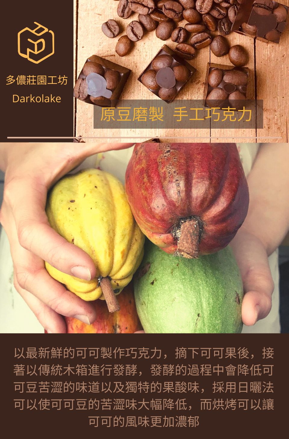 以最新鮮的可可製作巧克力,摘下可可果後,接