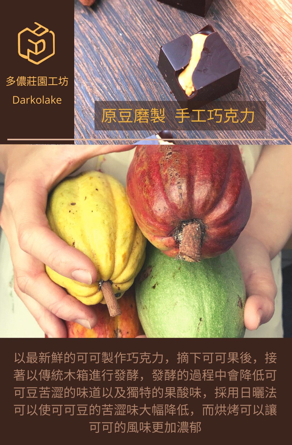 以最新鮮的可可製作巧克力,摘下可可果後,接