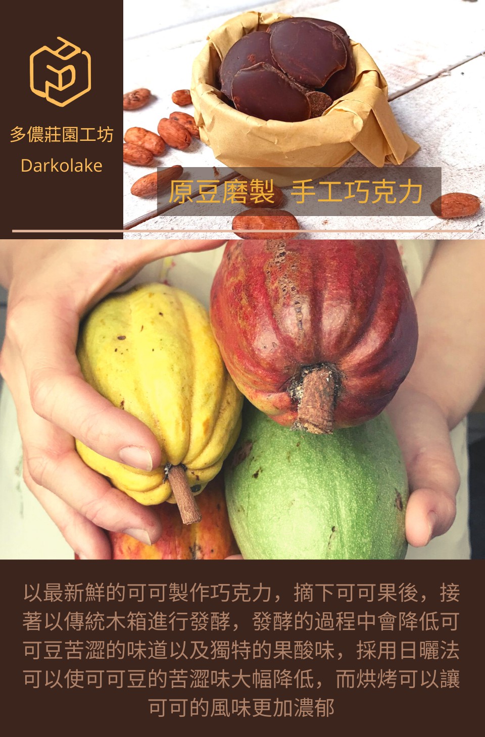 以最新鮮的可可製作巧克力,摘下可可果後,接