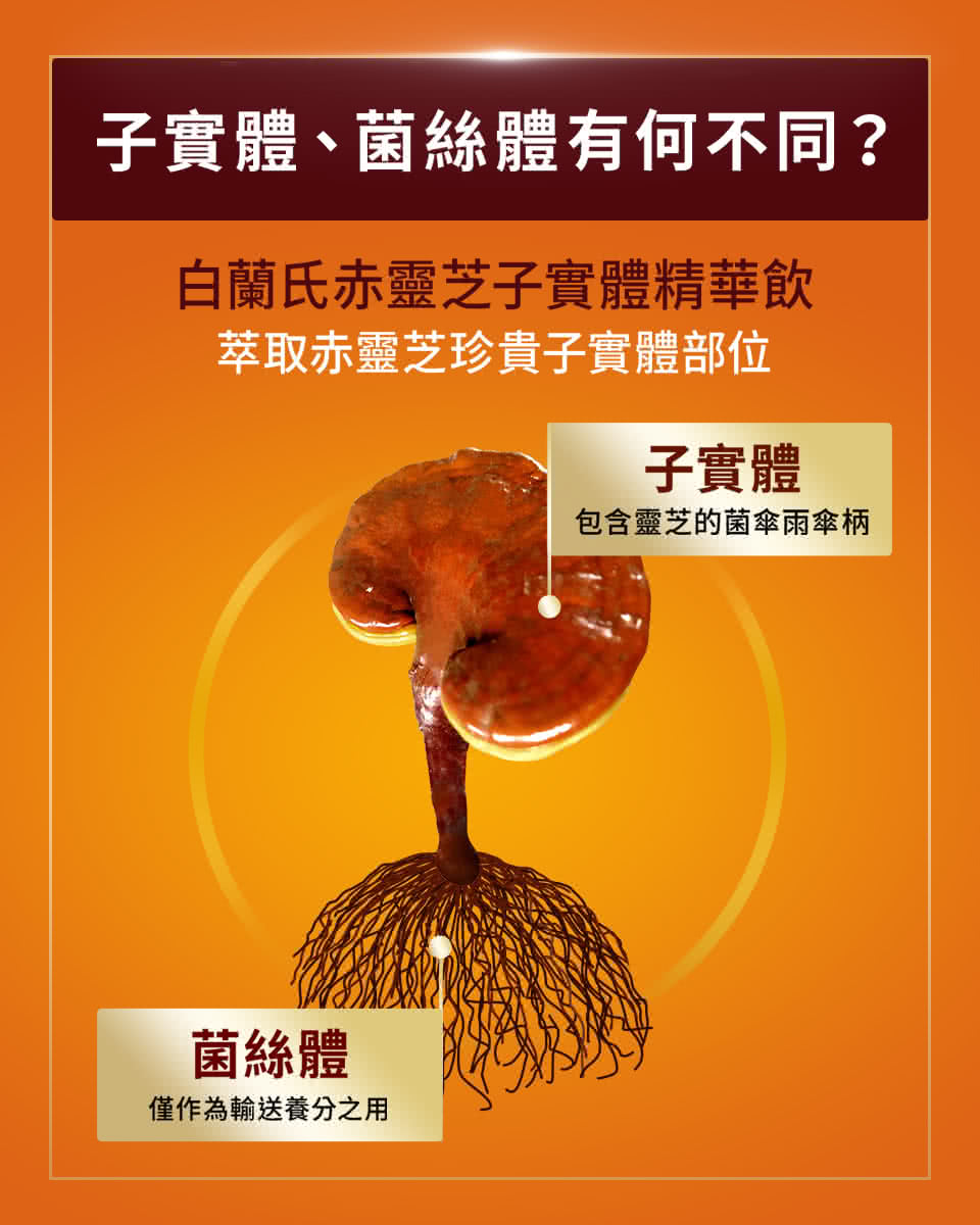 白蘭氏赤靈芝子實體精華飲