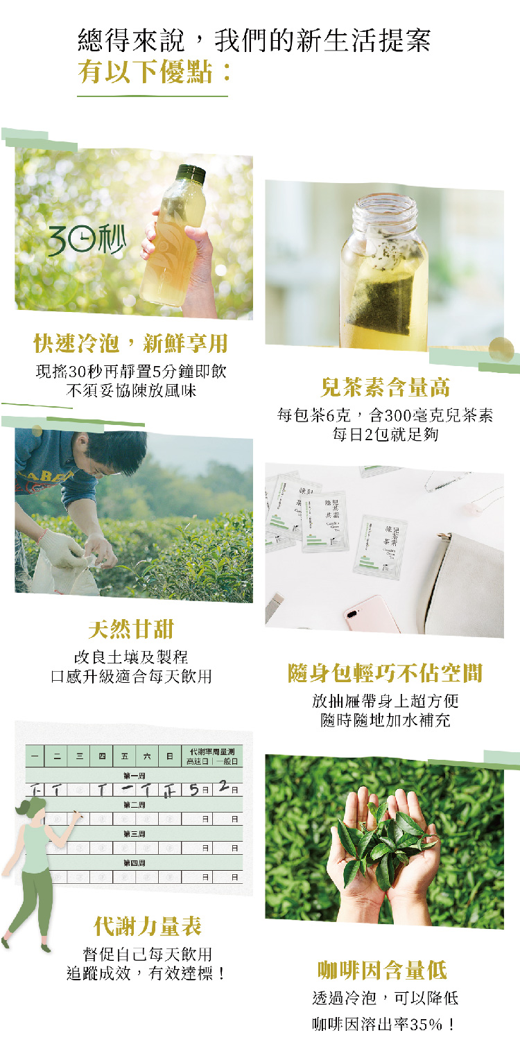 每包茶6克,含300毫克兒茶素
