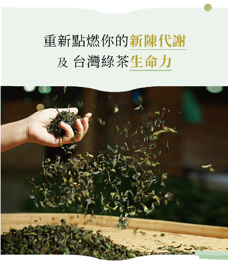 重新點燃你的新陳代謝 及台灣綠茶生命力 