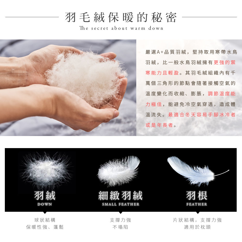 å´é¸Aåè³ªç¾½çµ¨,å æåç¨å¯å¸¶æ°´é³¥