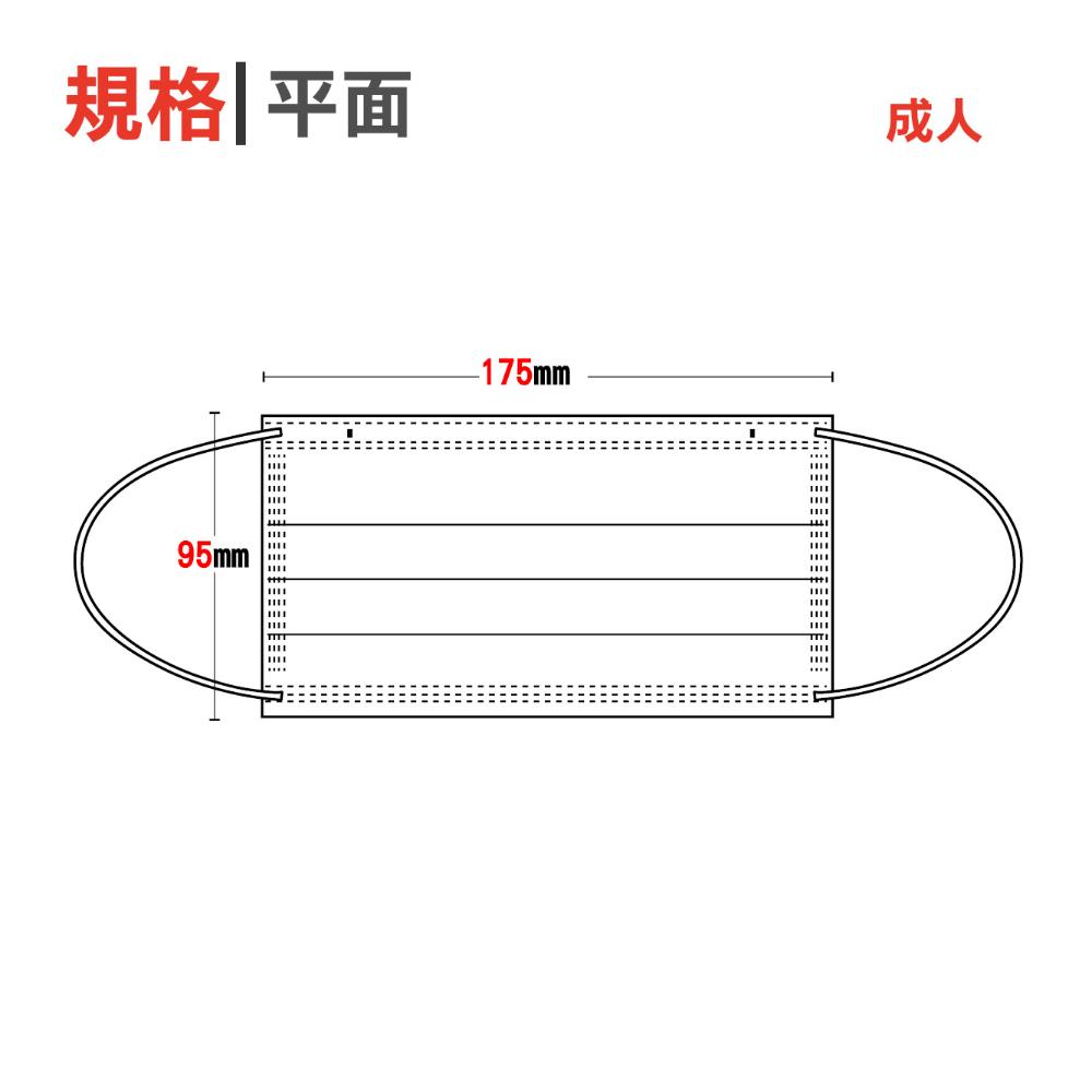 規格 平面 成人 