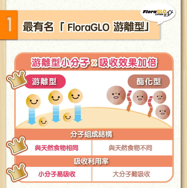 最有名FloraGLO 游離型