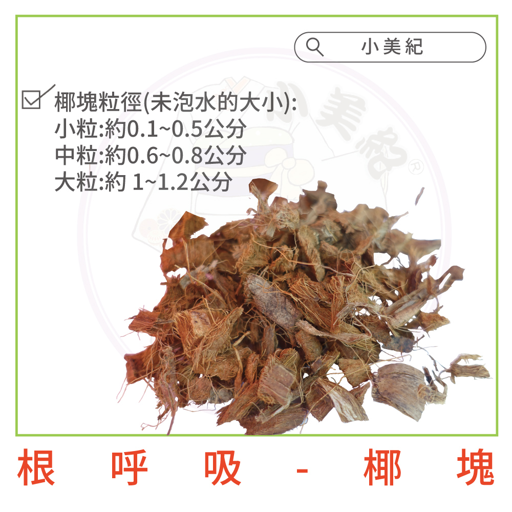 回椰塊粒徑未泡水的大小