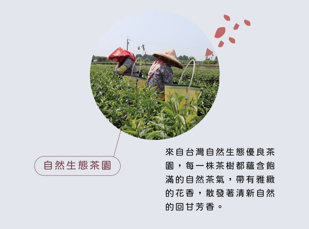 ä¾èªå°ç£èªç¶çæåªè¯è¶