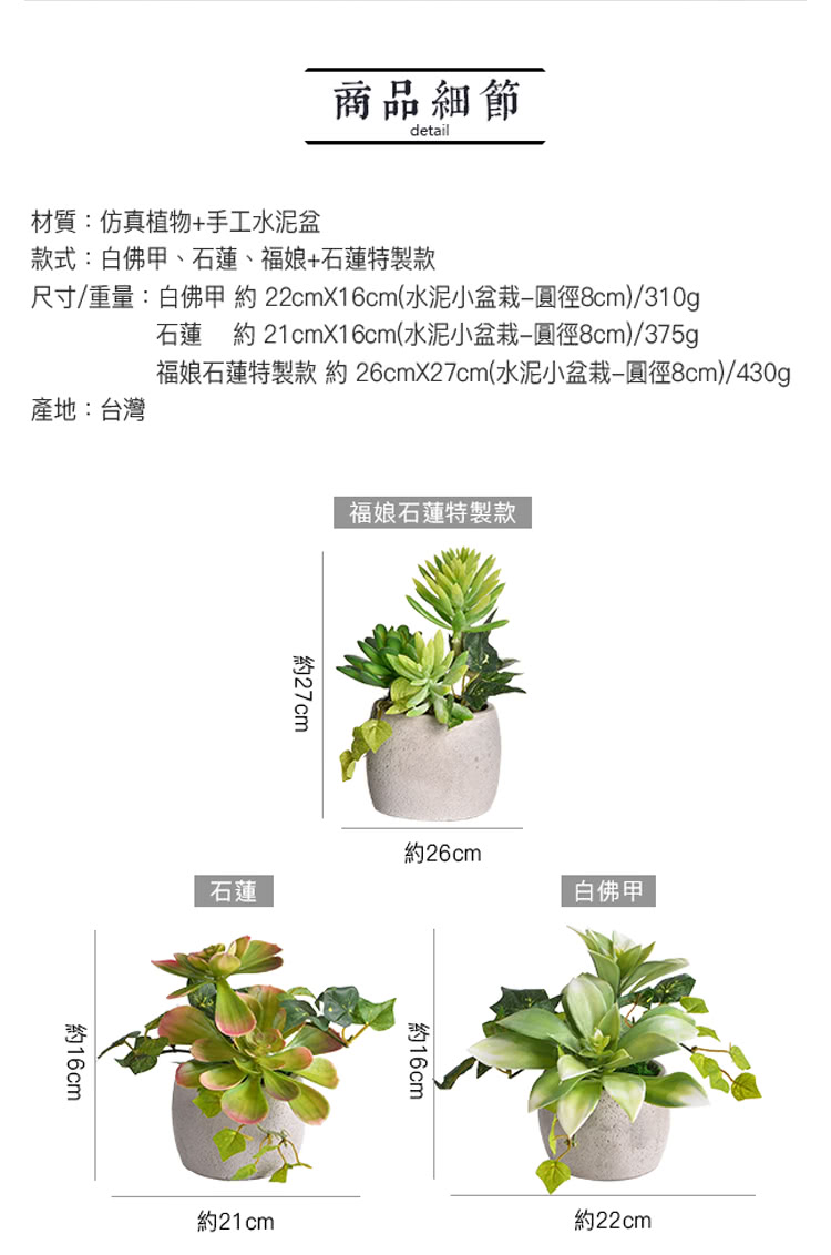 尺寸重量白佛甲約 22cmX16cm水泥小盆栽圓徑8cm310g