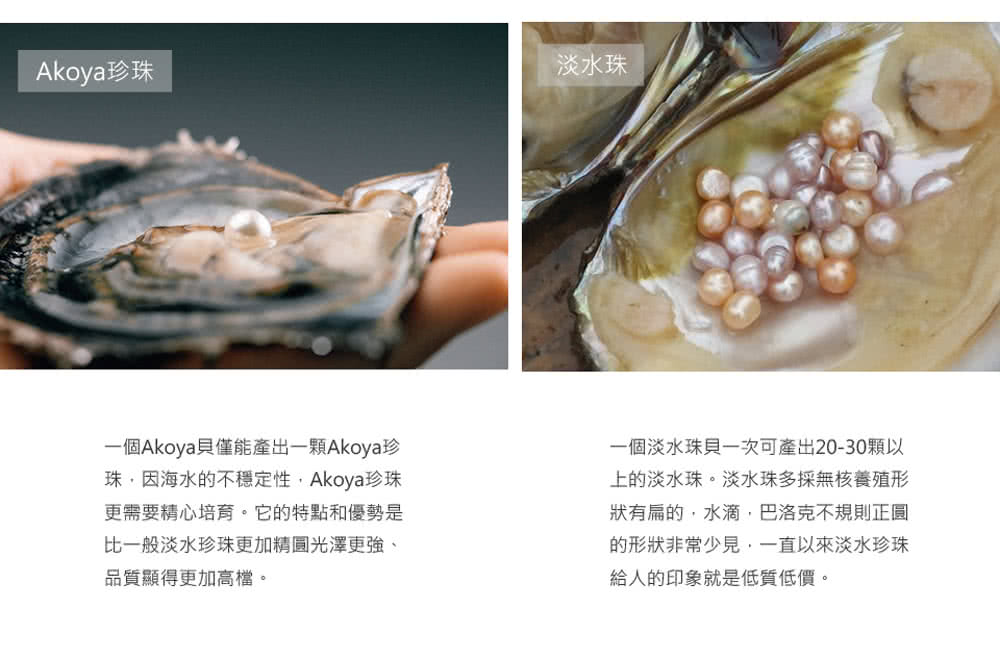 一個Akoya貝僅能產出一顆Akoya珍