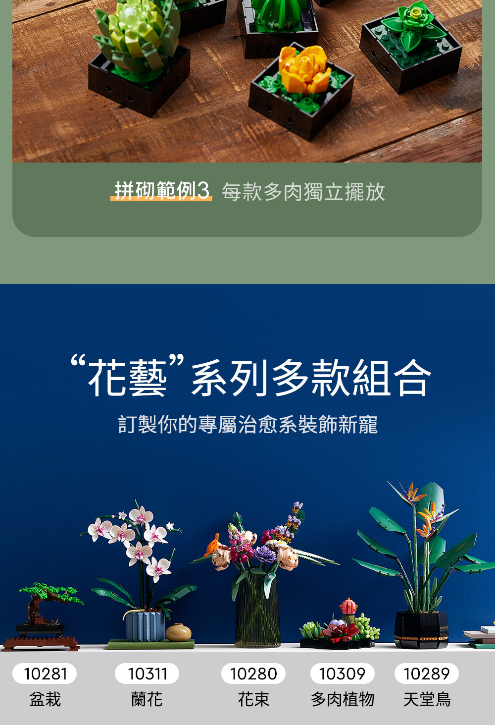 拼砌範例3 每款多肉獨立擺放