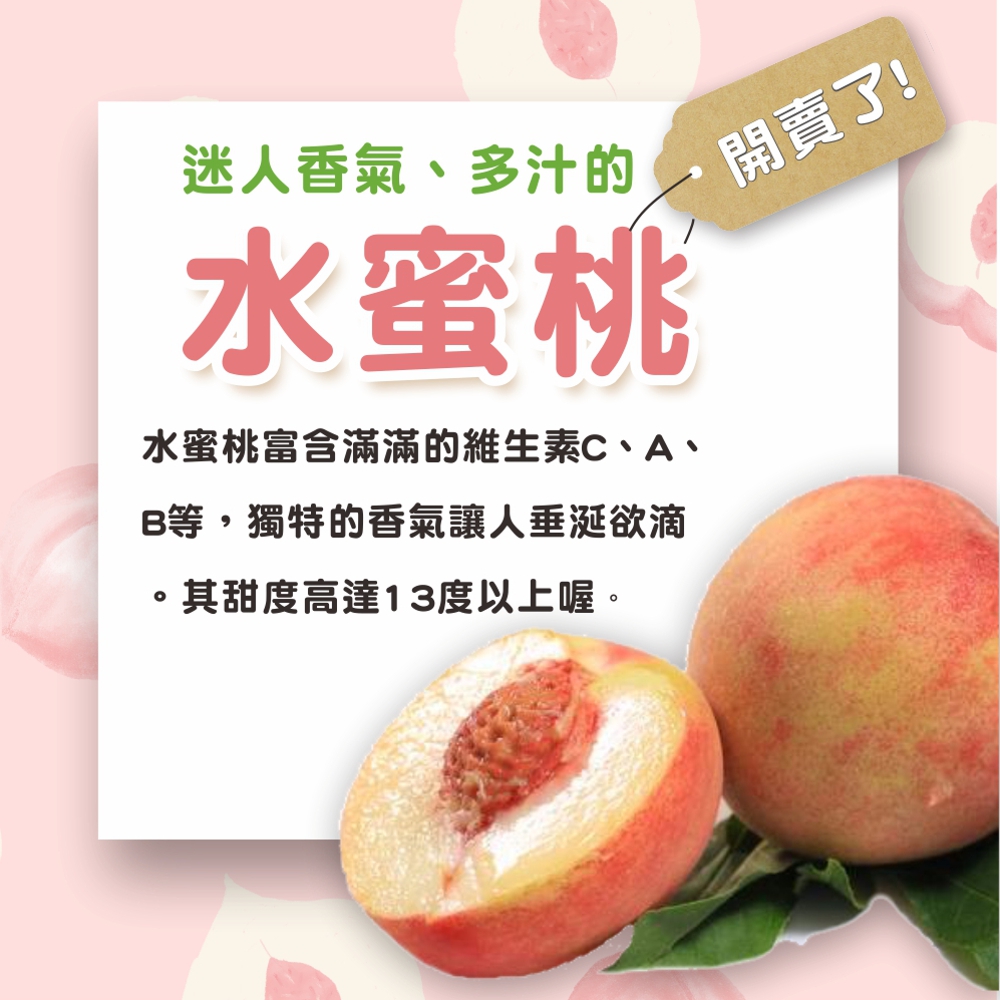 光合果物 台灣紅玉水蜜桃中果2盒 8 10顆 2盒 推薦 飲料 罐頭 食材網