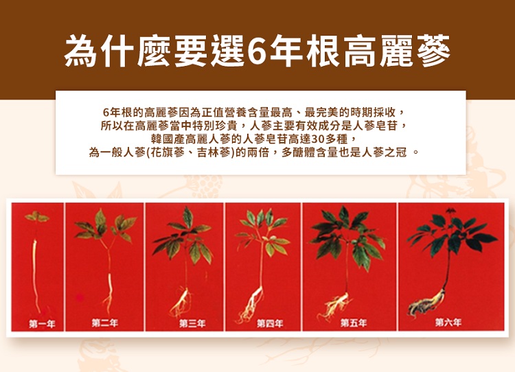 為一般人蔘花旗蔘、吉林蔘的兩倍,多醣體含量也是人蔘之冠。