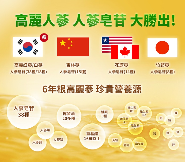 高麗人蔘 人蔘皂苷 大勝出