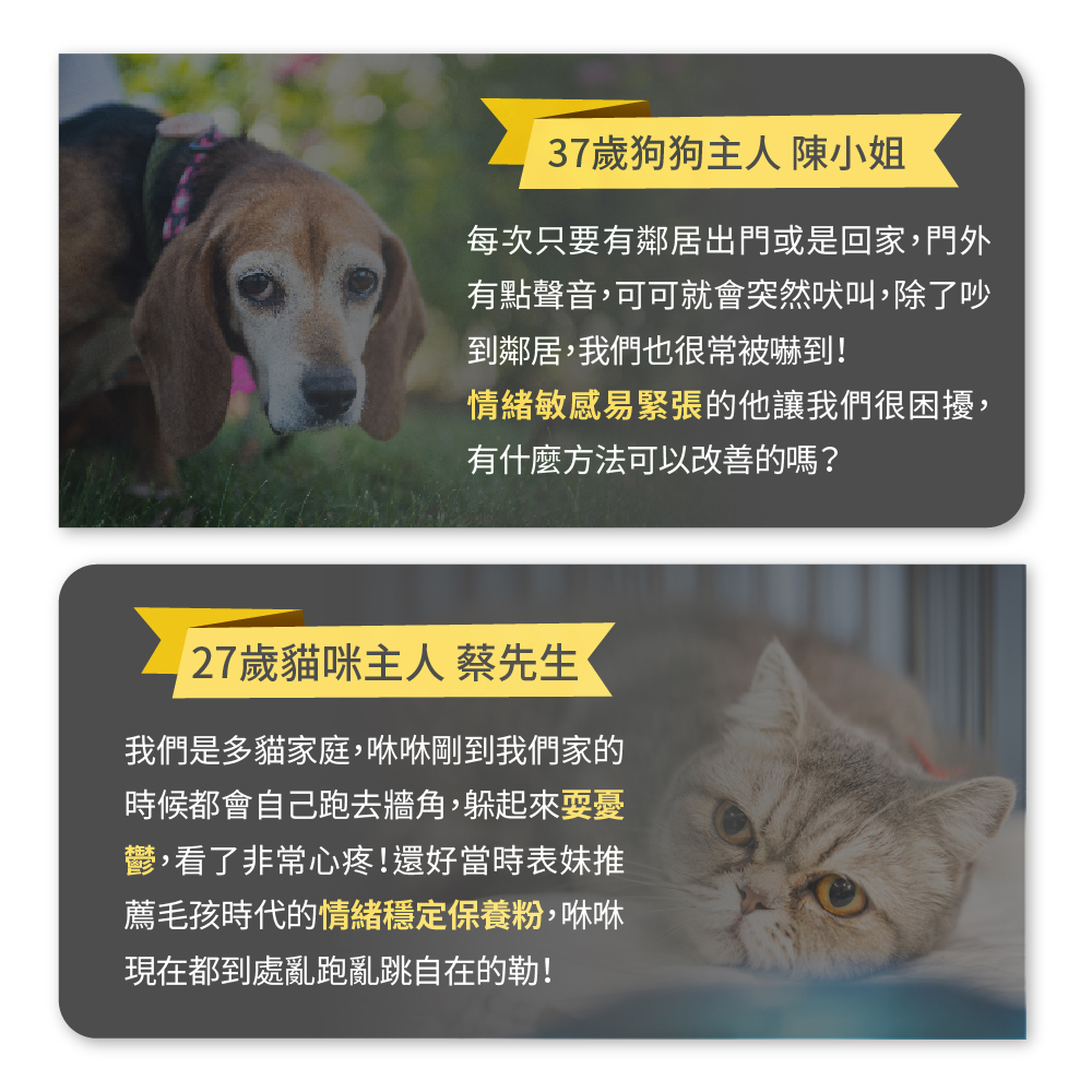 有點聲音,可可就會突然吠叫,除了吵