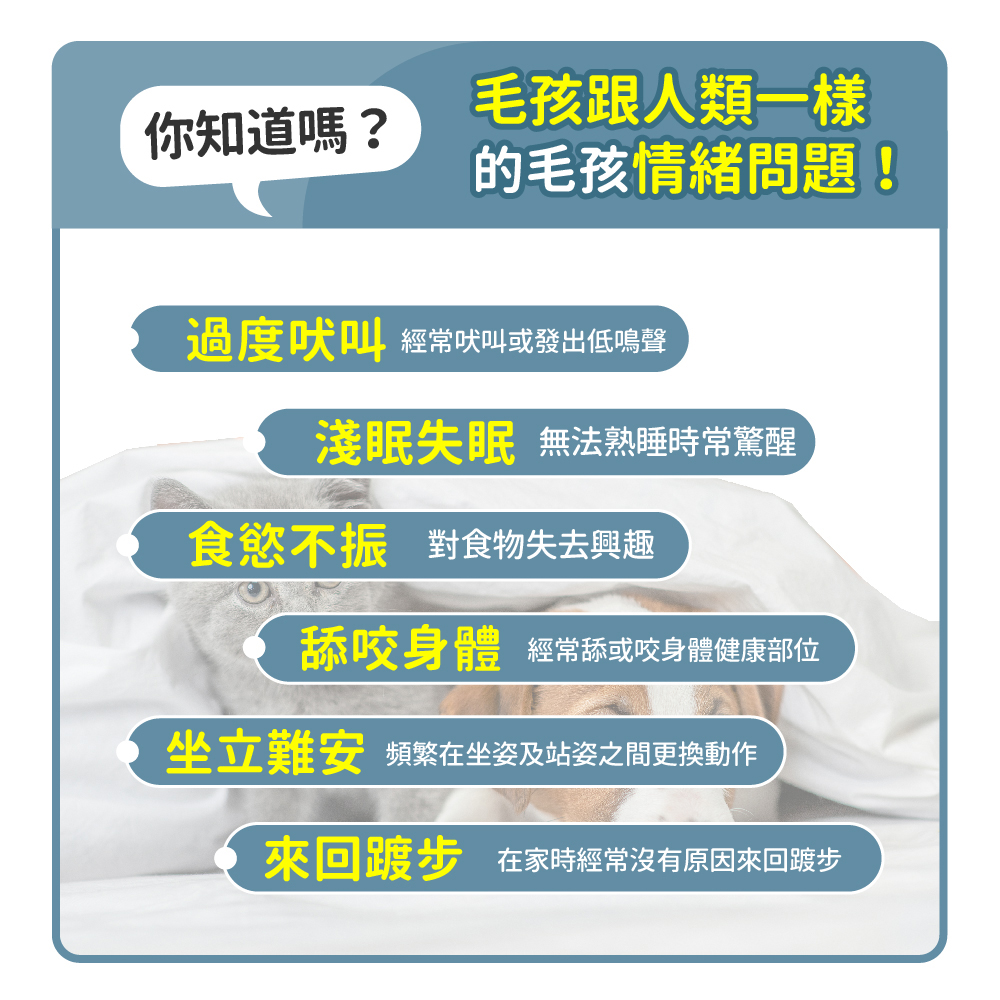 坐立難安 頻繁在坐姿及站姿之間更換動作