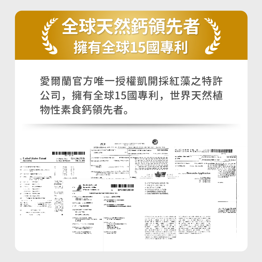 YEEZATIONAL FENGINESE的SESERVE