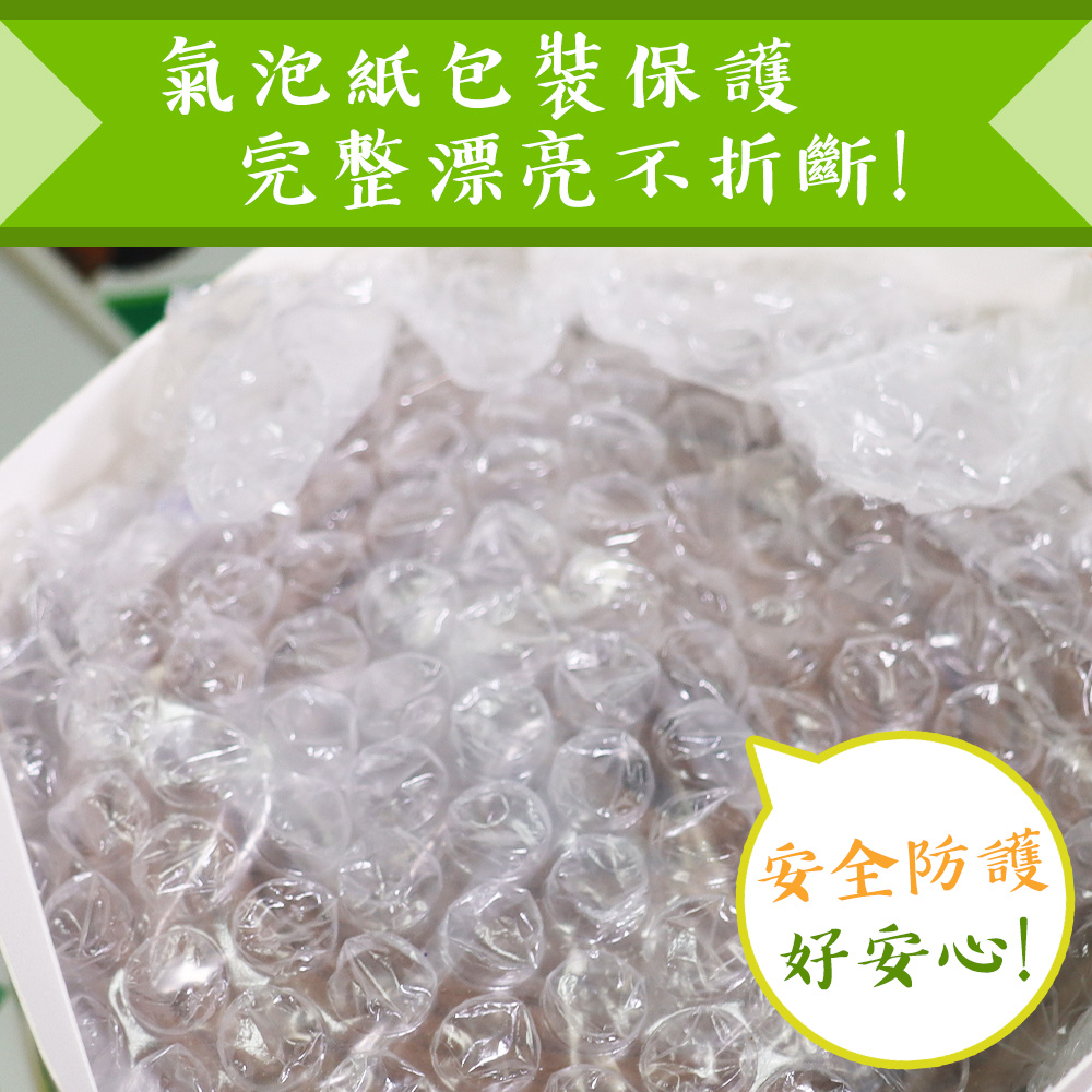 氣泡紙包裝保護 完整漂亮不折斷 安全防護 好安心 