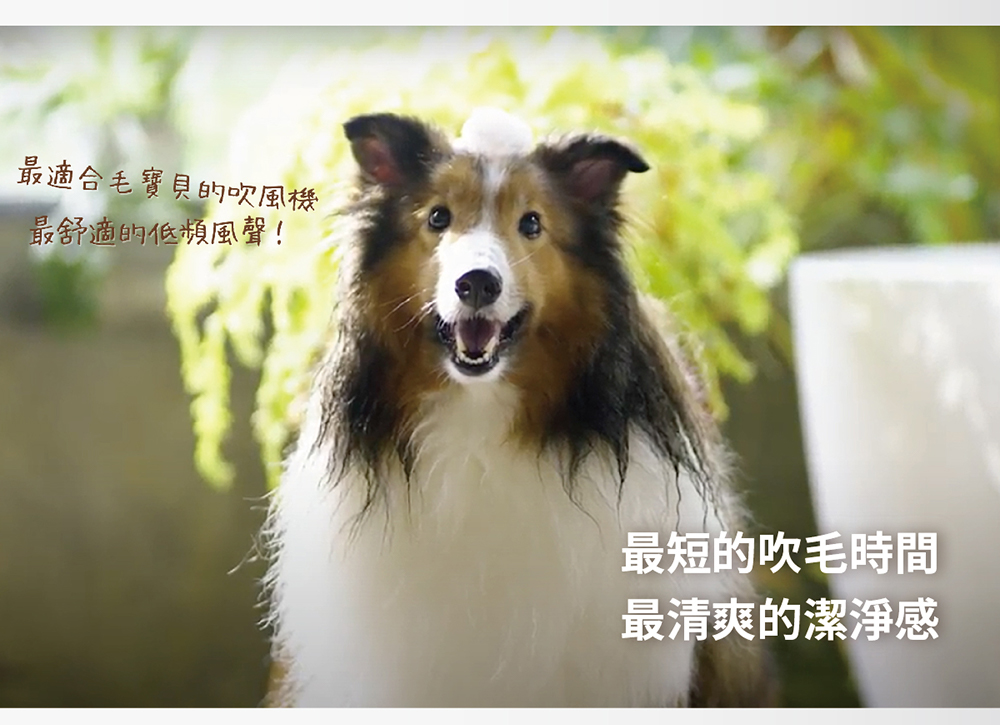 最適合毛寶貝的吹風機 最舒適的低頻風聲 最短的吹毛時間 最清爽的潔淨感 