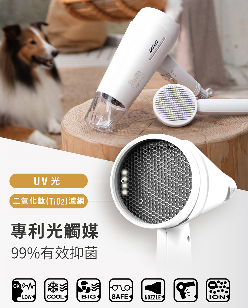 UV 光 二氧化鈦TiO2濾網 專利光觸媒 99%有效抑菌 