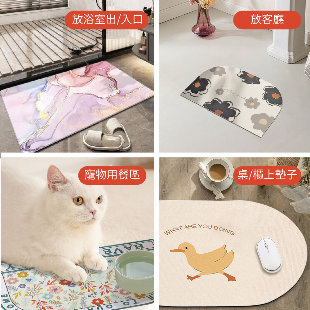 放浴室出入口 寵物用餐區 放客廳 桌櫃上墊子 