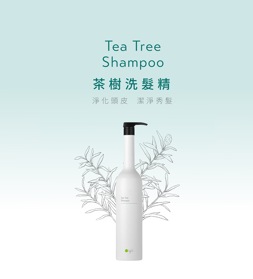 茶樹洗髮精 淨化頭皮潔淨秀髮 