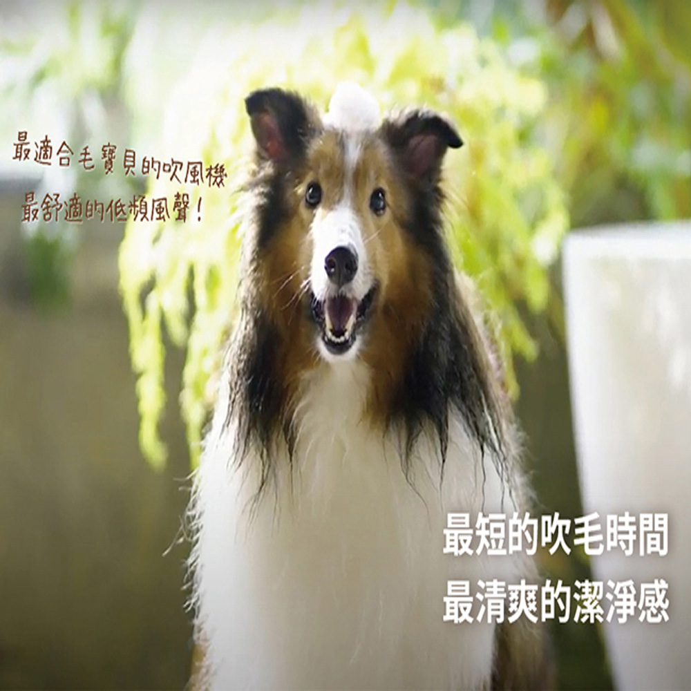 最適合毛寶貝的吹風機 最舒適的低頻風聲 最短的吹毛時間 最清爽的潔淨感 