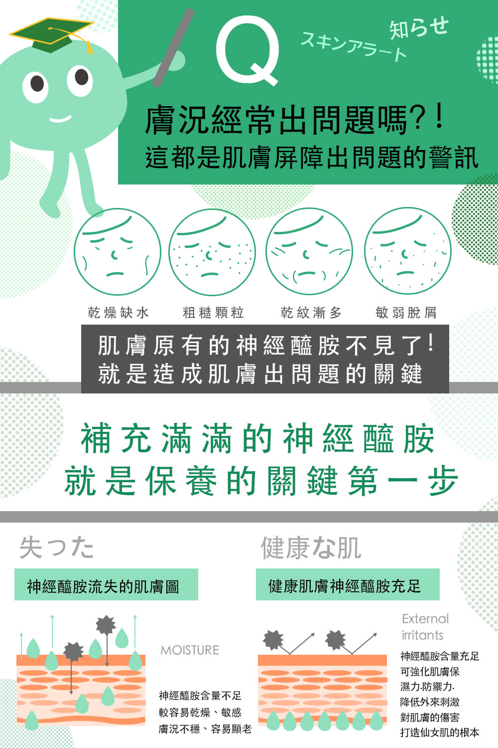粗糙顆粒 乾紋漸多 敏弱脫屑