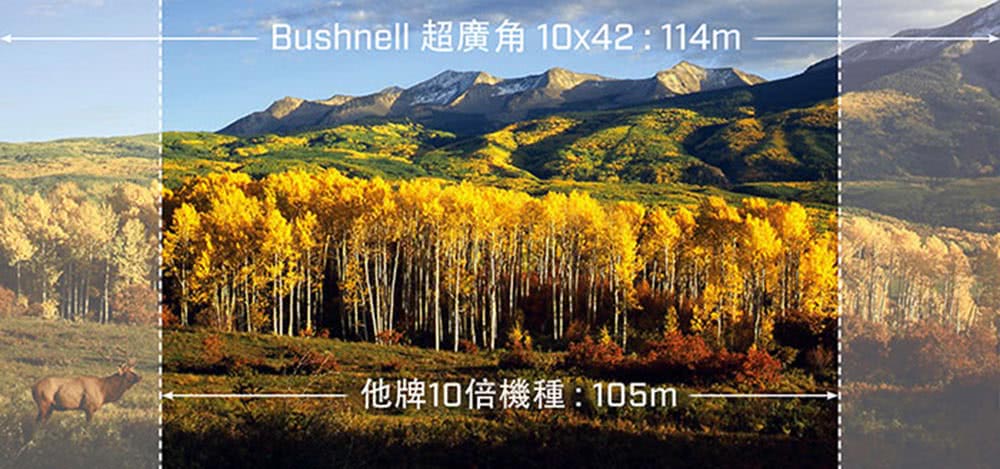 Bushnell 超廣角 10x42114m 他牌10倍機種105m 